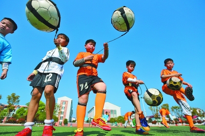 致敬，都柏林动物园将一只极度濒危的鹦鹉取名特洛伊-帕罗特（致敬之举： 都柏林动物园将一只极危鹦鹉命名为特洛伊-帕罗特）