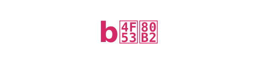 b体育